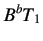 $\displaystyle B^bT_1$
